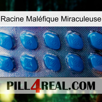 Racine Maléfique Miraculeuse viagra1